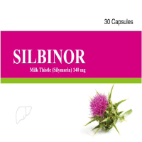Silbinor